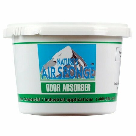 DELTA AIR SPONGE ABSORBER 1LB 101-2